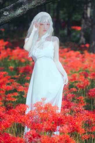 ElyEE子  B-White spider lily 白瓷彼岸 [27P/83MB]-集图萌